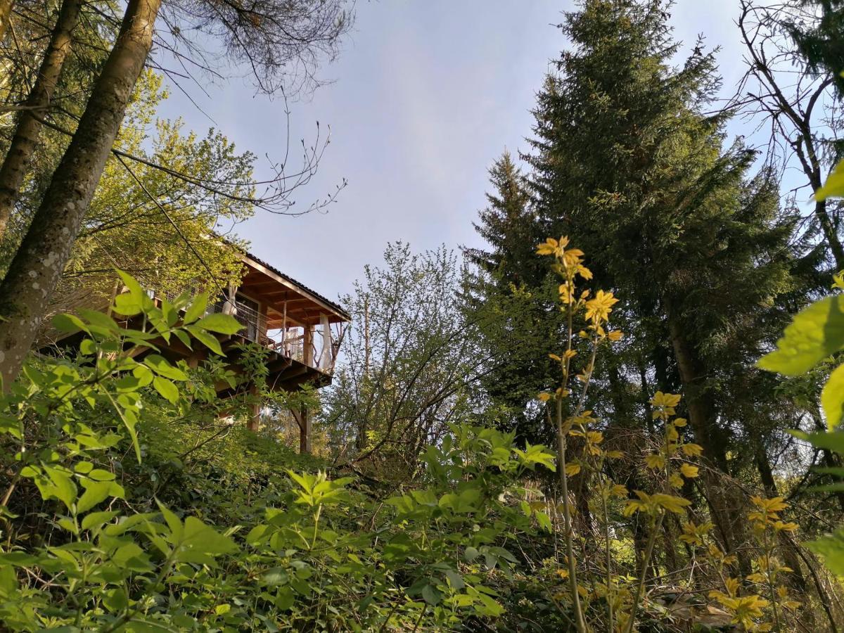 La Fortance Paradis Naturel - Proche De La Ville Planfoy Exterior foto