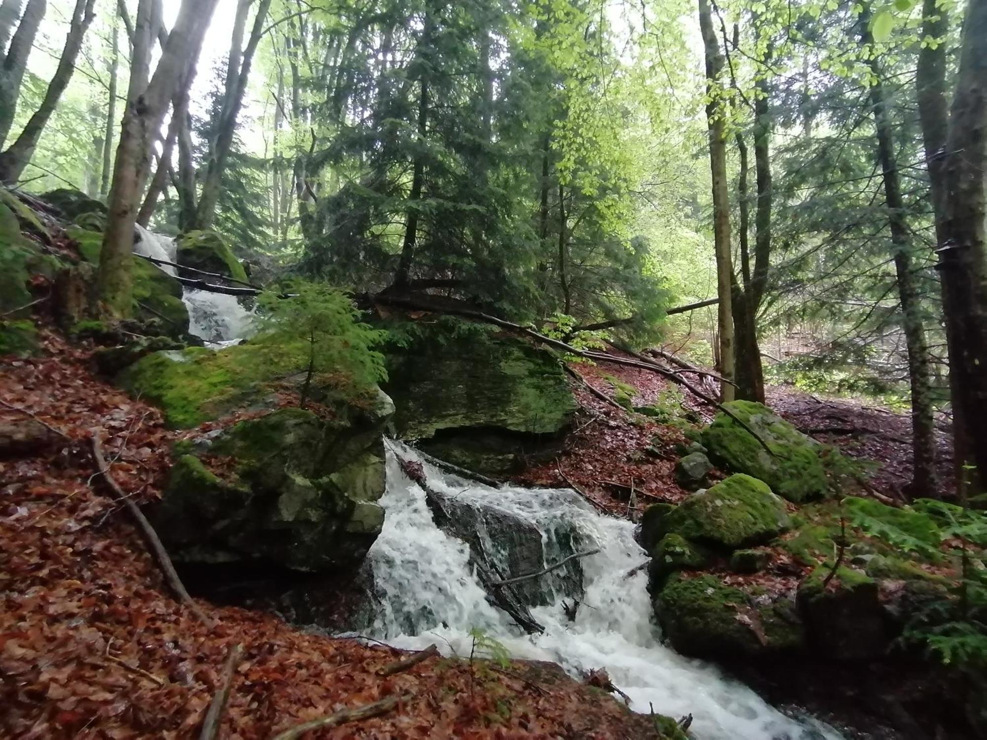 La Fortance Paradis Naturel - Proche De La Ville Planfoy Exterior foto